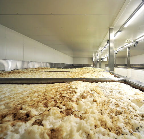 Rozšiřujeme největší klasickou spilku v Česku