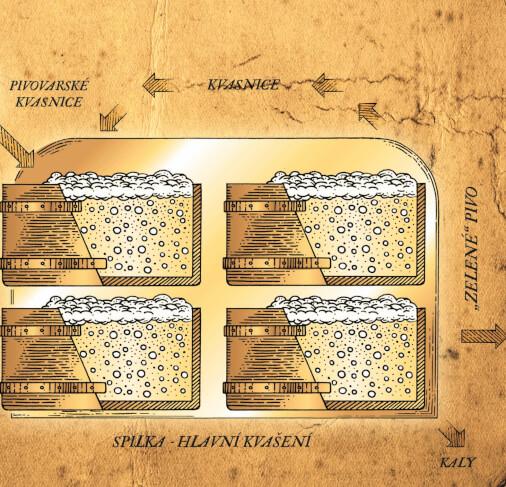 Prohlídka pivovaru se sládkem Petrem Menšíkem