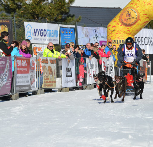 Mistrovství republiky v závodech psích spřežení 2022 v Zásadě