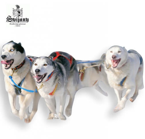 Mistrovství republiky v závodech psích spřežení